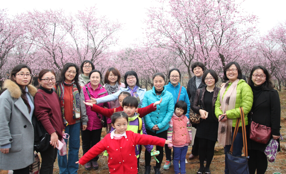 QQ截图20160310120537.jpg